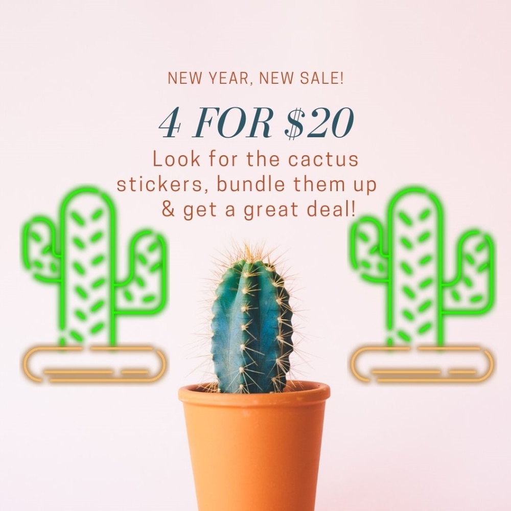 4 for $20 Sale